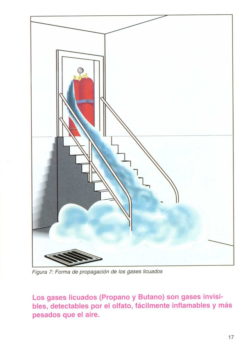 prgases (12)
